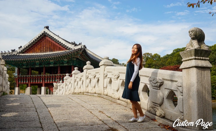  분당중앙공원 : 주말 나들이 및 출사 장소로 추천