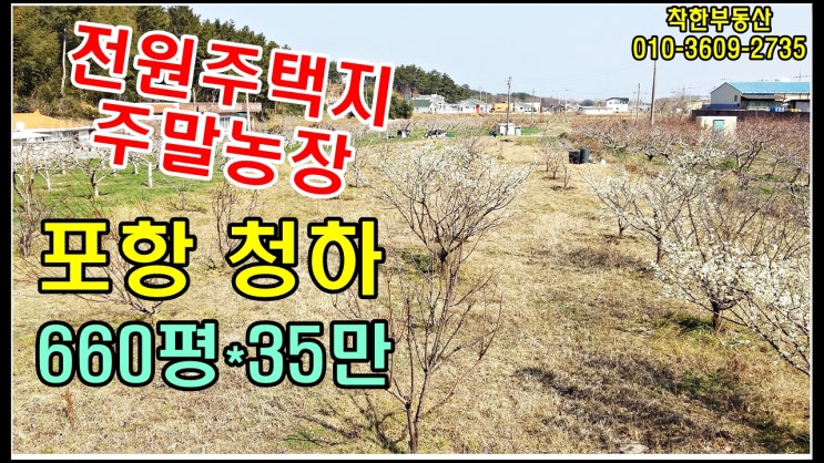 경북  토지매매 포항전원주택지-청하면사무소 인근