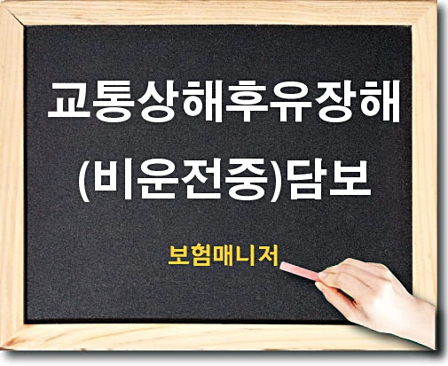  현대해상 태아보험 교통상해후유장해(비운전중) 담보 알아보기