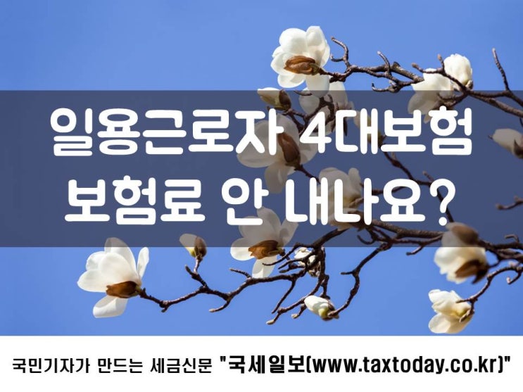  일용근로자 4대보험, 보험료 안 내나요?