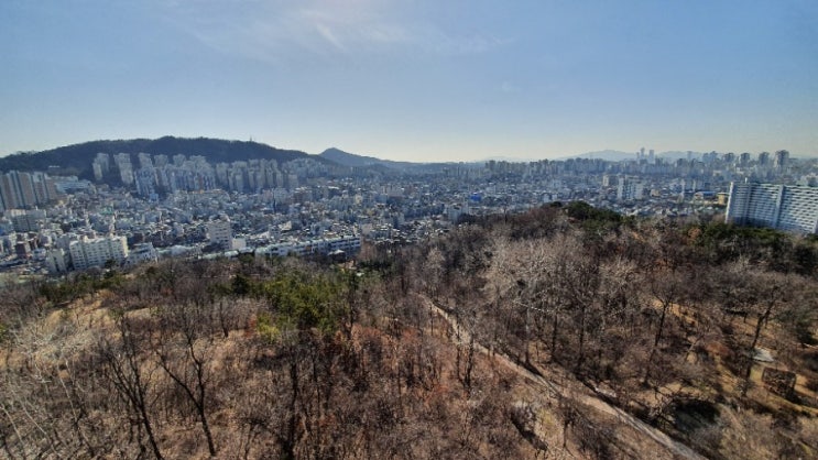  아직 봄은 멀었나...