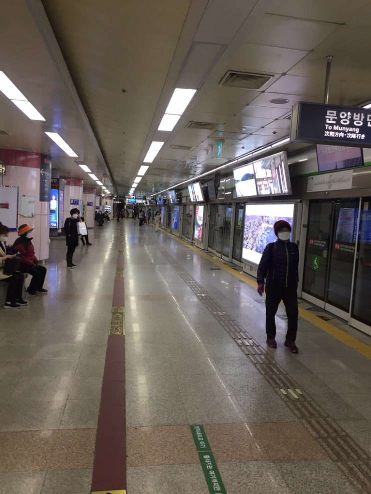  대구 동성로 코로나 일상여행