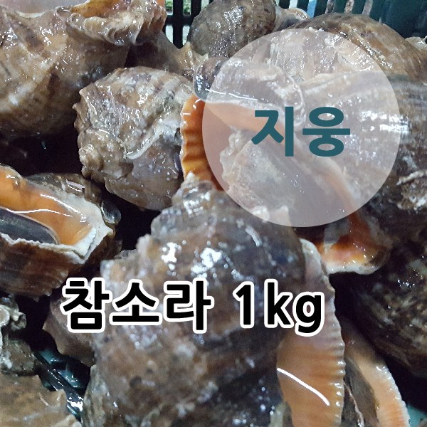 지웅수산 특대 참소라 1kg, 1팩 추천해요 지웅수산 특대 참소라 1kg, 1팩 추천해요