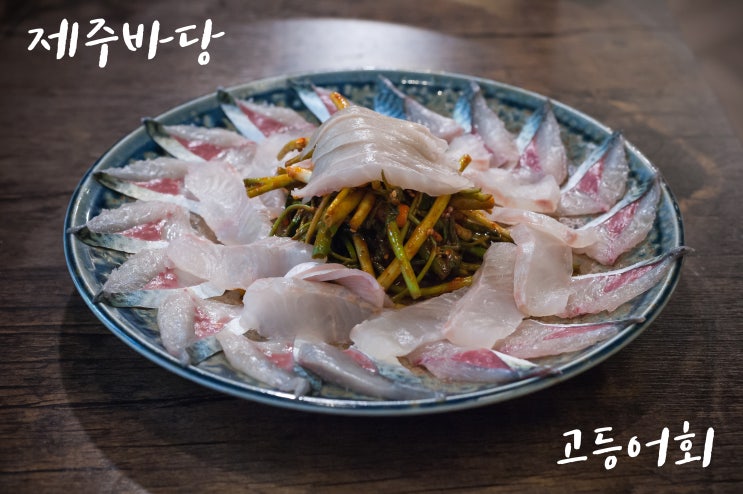  종각 횟집 '고등어회를 서울에서 제주바당'