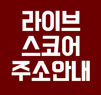  라이브스코어 사이트 주소 알아보기