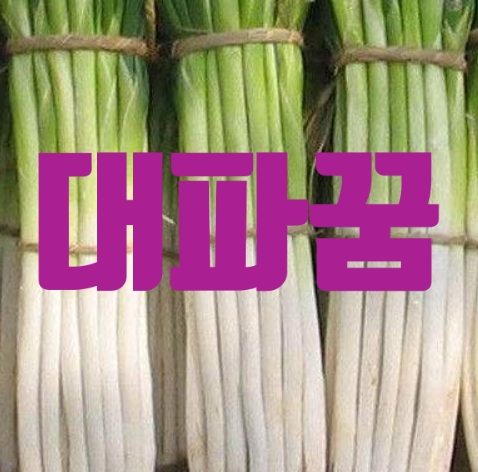  대파꿈은 금전운이 가득한 길몽입니다.