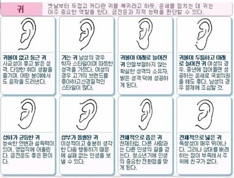 귀 관상 : 네이버 블로그 귀 관상 : 네이버 블로그