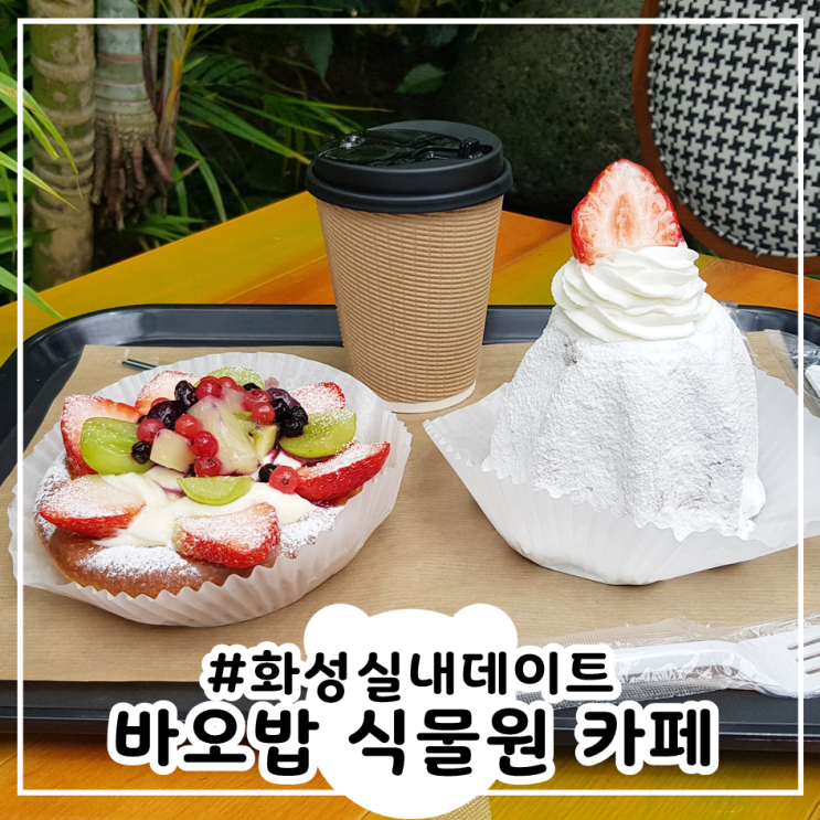  화성 바오밥 식물원 베이커리&카페 #카페