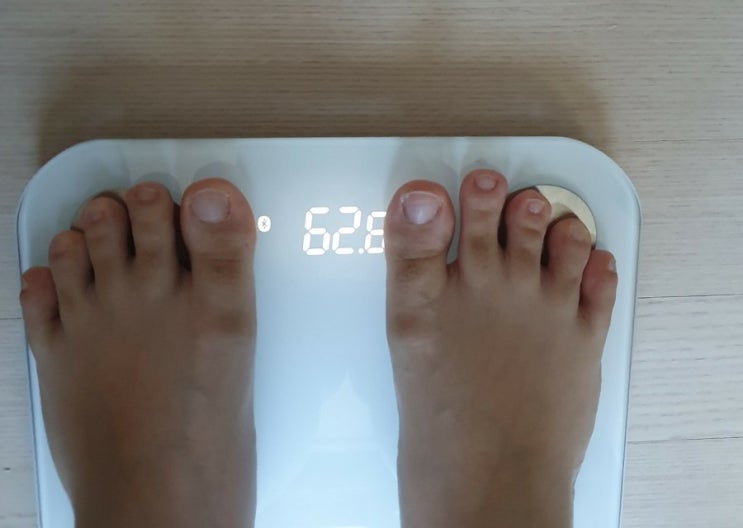  [다이어트곡물쉐이크 추천] 닥터디엣 fmd 4일차 내돈현실후기, 앞다리살구이