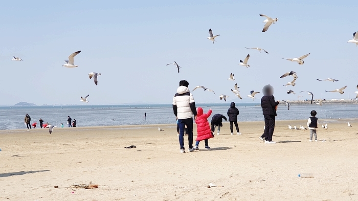 주말 나들이 가기 좋은 곳 :) 경기도 안산 대부도 방아머리 해수욕장