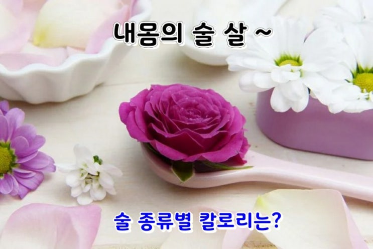 내몸의 술 살ㆍ술 칼로리?