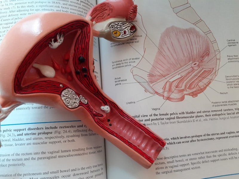 내가 느낀 임신극 초기 증상 3주에서 4,5,6,7,8주 (옆구리&골반통,입덧,양치 입덧,임산부의 삶..)