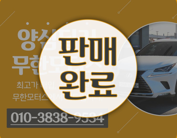  무한모터스 중고차 판매 렉서스 NX 300h 이그제큐티브 수원 오토컬렉션