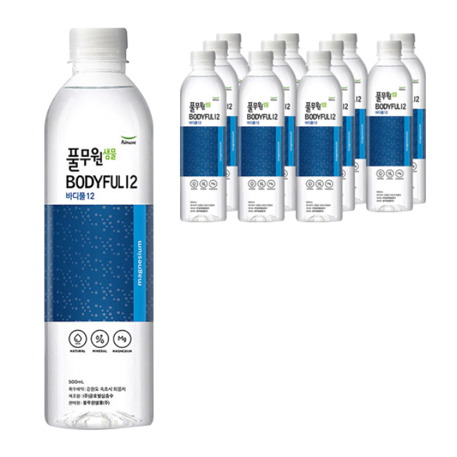  풀무원샘물 바디풀 12 마그네슘, 500ml, 12개