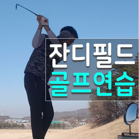  화성 골프연습장 자연잔디에 치는 곳 발리오스