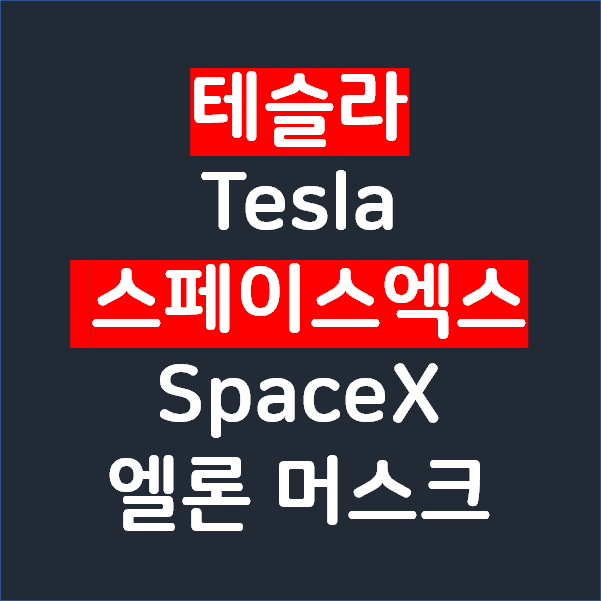 테슬라 Tesla 와 스페이스엑스 SpaceX 주가 그리고 엘론 머스크