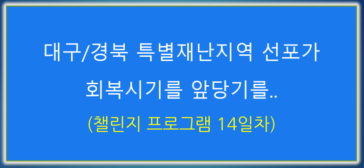 챌린지 프로그램 14일차 : 대구/경북 특별재난지역 선포가 회복시기를 앞당기를..