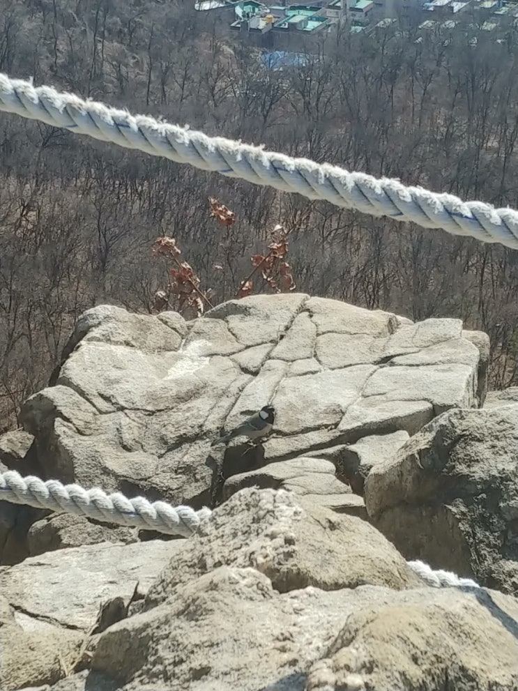  [일상] '문학산' 등산하기