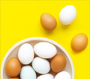 변액보험 수익률 높이고 싶다고?…펀드 포트폴리오 전략 짜라! 변액보험 수익률 높이고 싶다고?…펀드 포트폴리오 전략 짜라!