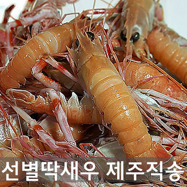  선별 딱새우 1kg 제주직송 가시발새우 쏙 순살새우 칵테일새우, 1개 추천해요
