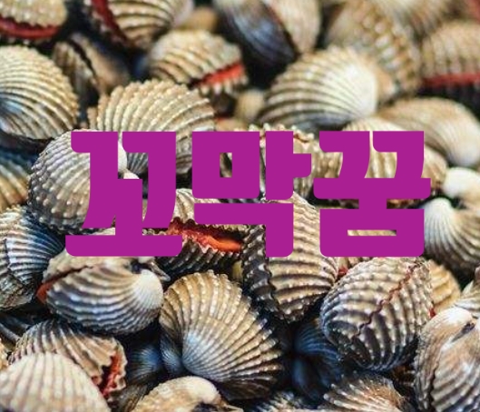  꼬막꿈은 행운을 가져다 준답니다.