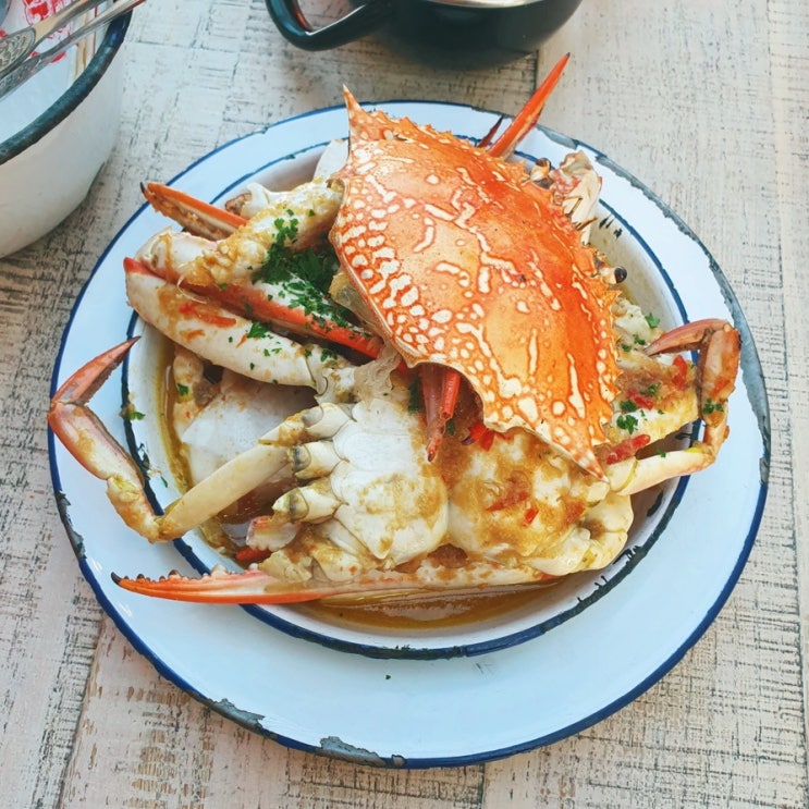  뉴질랜드 여행 | 오클랜드 맛집 게딱지에 밥 못말아먹은 이야기.. (눈물샘주의)