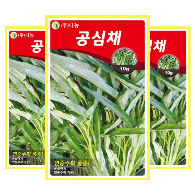 (로켓배송)다농 공심채씨앗, 10g x 3개 추천해요