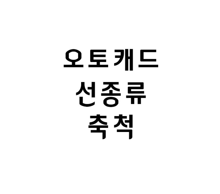 인테리어학원 오토캐드 선종류축척 인테리어학원 오토캐드 선종류축척