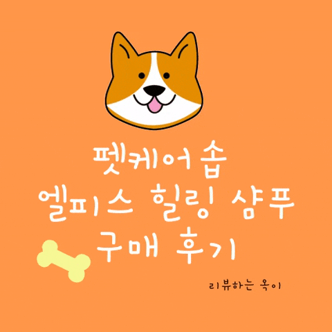  반려견 샴푸 펫케어솝 엘피스 힐링 샴푸 구매 후기