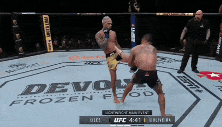 UFC 브라질리아 : 올리베이라 vs 리 피니쉬 영상(GIF) 및 뒷얘기