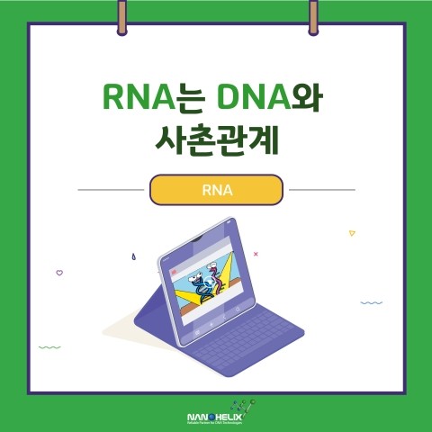  RNA는 DNA와 사촌 관계