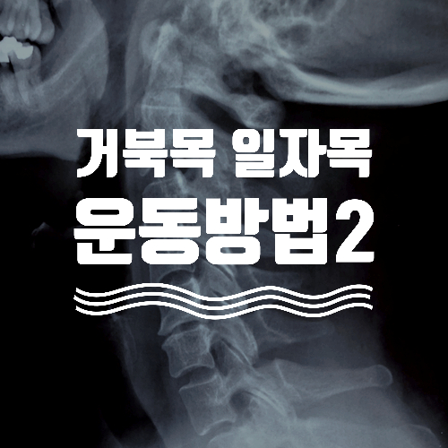 거북목, 일자목, 어깨통증 운동방법 [규칙2. 내몸에 건물을 세운다] - H퍼스널트레이닝 한남동PT