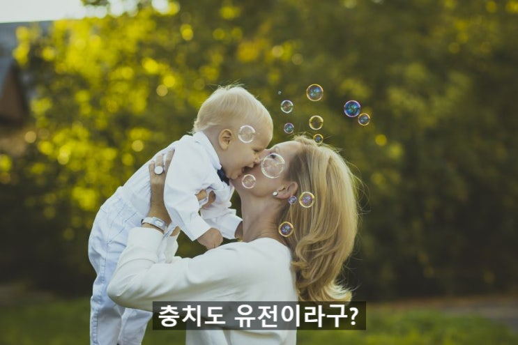  [건강]충치도 유전이라고?!