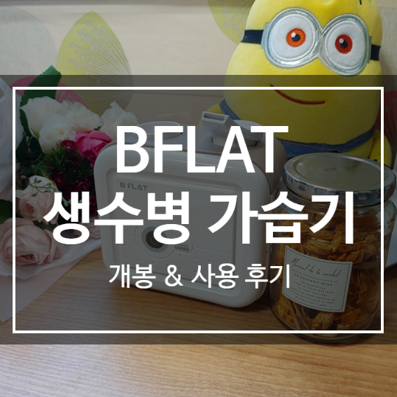  BFLAT 생수병가습기 개봉기 및 사용 후기 (영상 있음!)