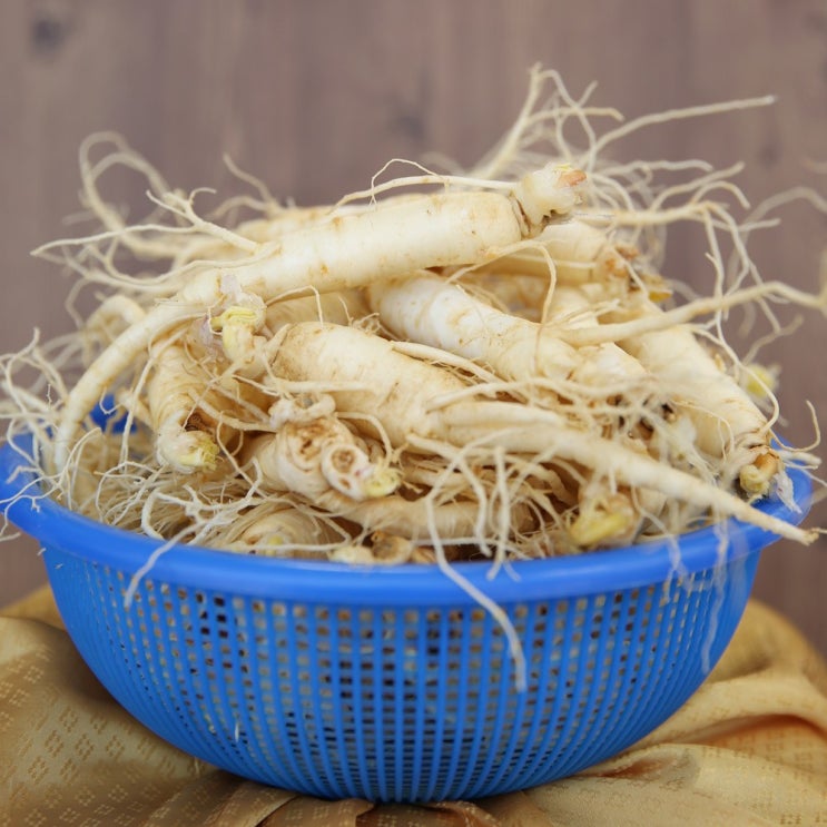 우리네농산물 금산부자인삼 세척삼 수삼 인삼, 1개, 600g(난발파삼) 추천해요 우리네농산물 금산부자인삼 세척삼 수삼 인삼, 1개, 600g(난발파삼) 추천해요
