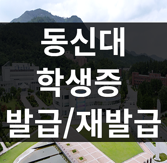 동신대 학생증 발급/재발급 방법 : 네이버 블로그 동신대 학생증 발급/재발급 방법 : 네이버 블로그