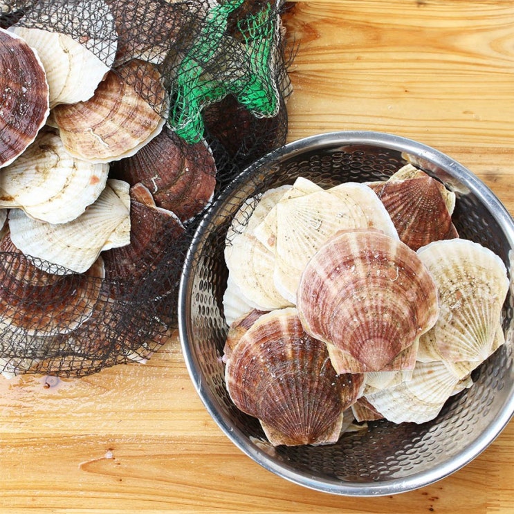 바다조아 동해안 참가리비, 1개, 2kg 추천해요 바다조아 동해안 참가리비, 1개, 2kg 추천해요