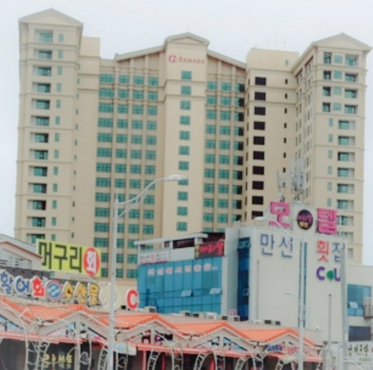  다시오는속초횟집당골집입니다