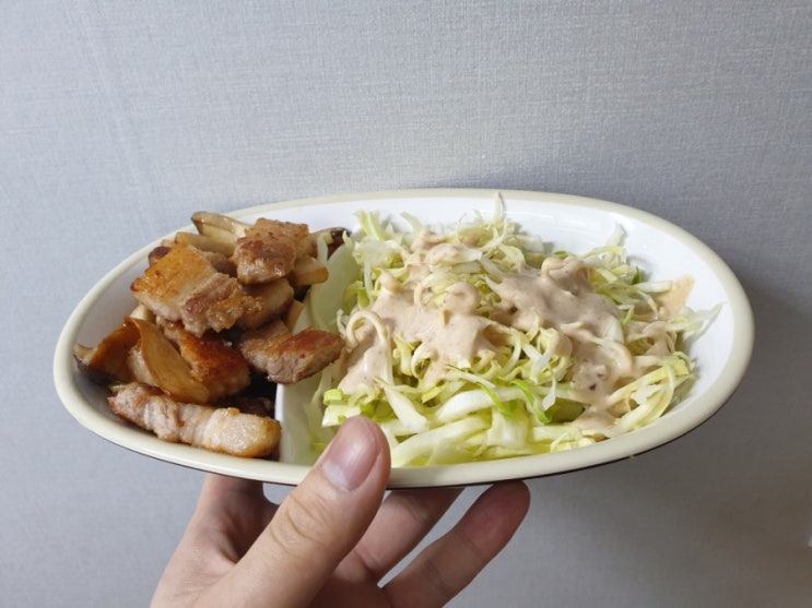  키토 저탄고지 lchf 43일차 (-13.5kg)
