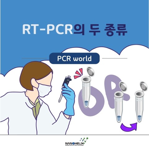  RT-PCR의 두 종류