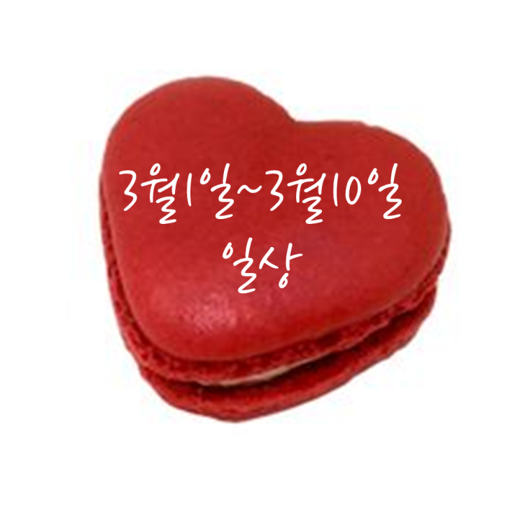  3월1일~3월10일
