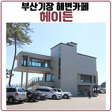부산기장카페 헤이든에서 파도소리와 함께하는 힐링 부산기장카페 헤이든에서 파도소리와 함께하는 힐링