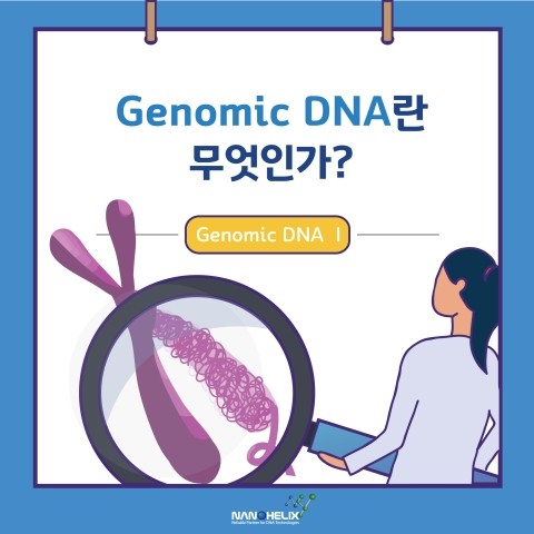[Genomic DNA - I]Genomic DNA란 무엇인가?