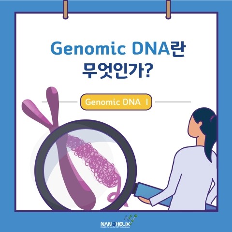  [Genomic DNA - I]Genomic DNA란 무엇인가?