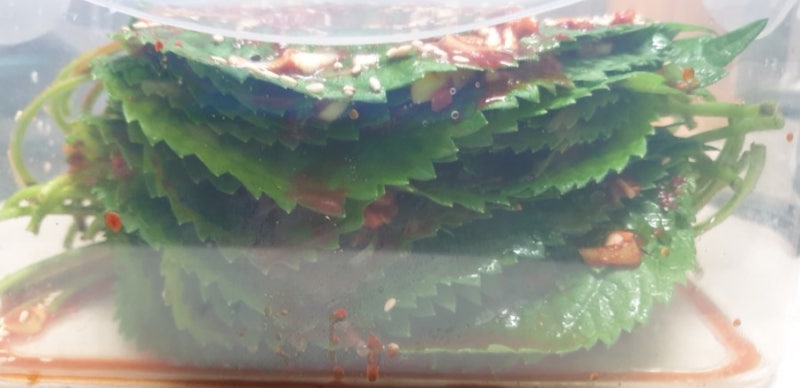 사계절 밑반찬 깻잎김치 깻잎반찬 깻잎효능