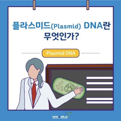 [플라스미드(Plasmid) DNA - I -] 플라스미드 DNA란 무엇인가?