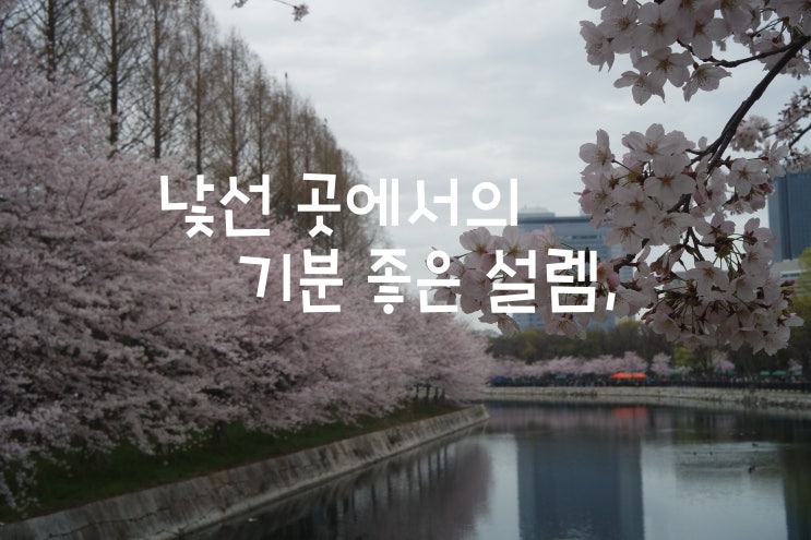  일본 교토 그리고 오사카로 떠난 일본벚꽃여행, 기요미즈데라 도톤보리 풍경 (2016년 10월, 따사로웠던 봄 그 어느 날)