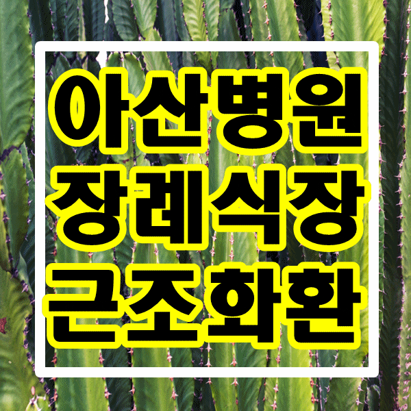 서울 아산병원 장례식장 애도의 마음을 담아 근조화환 제작하는 꽃집