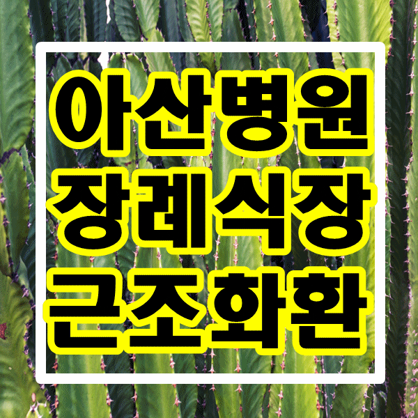  서울 아산병원 장례식장 애도의 마음을 담아 근조화환 제작하는 꽃집