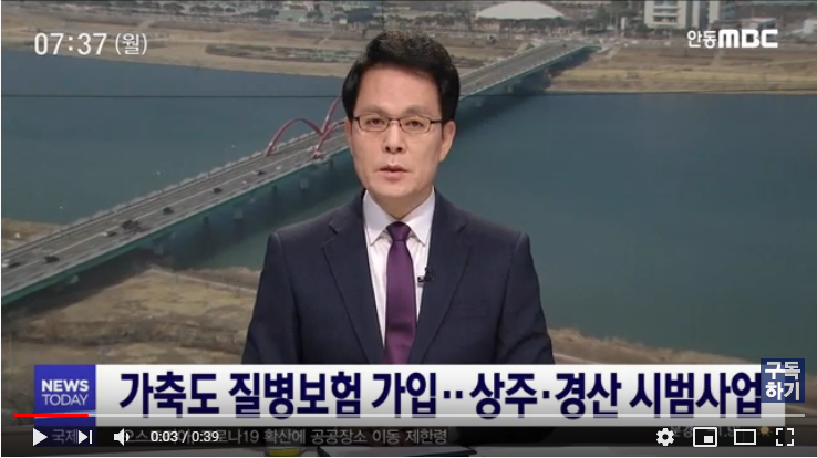 '가축질병치료보험' 상주, 경산 시범 실시 / 안동MBC '가축질병치료보험' 상주, 경산 시범 실시 / 안동MBC